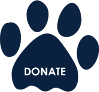 PLEDGE FOR PAWS HAS A GREAT START!! 17% TOWARDS GOAL